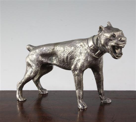 A silvered bronze figure of a growling mastiff, 8.5in.